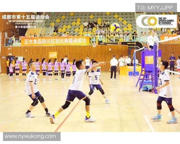 成都排球队在全国排球速度排行榜中荣获第六名的佳绩引发关注