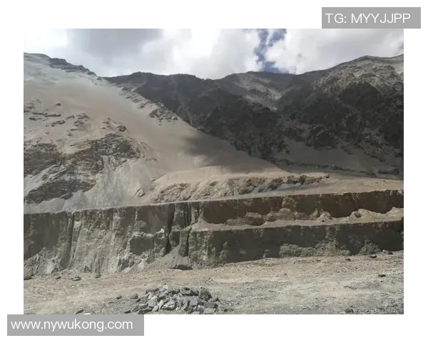 深度探讨杨磊在CSGO中的成长与挑战之路