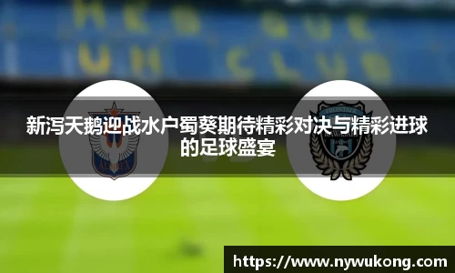 新泻天鹅迎战水户蜀葵期待精彩对决与精彩进球的足球盛宴